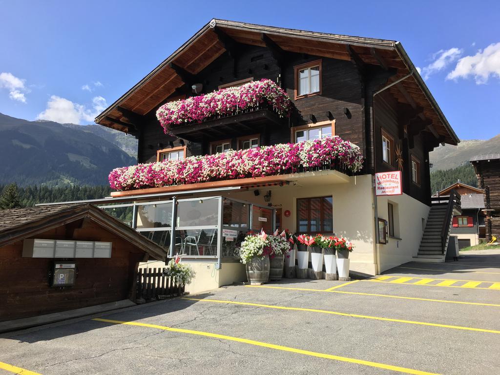 Ernen Hotel Haus Muehlebach מראה חיצוני תמונה